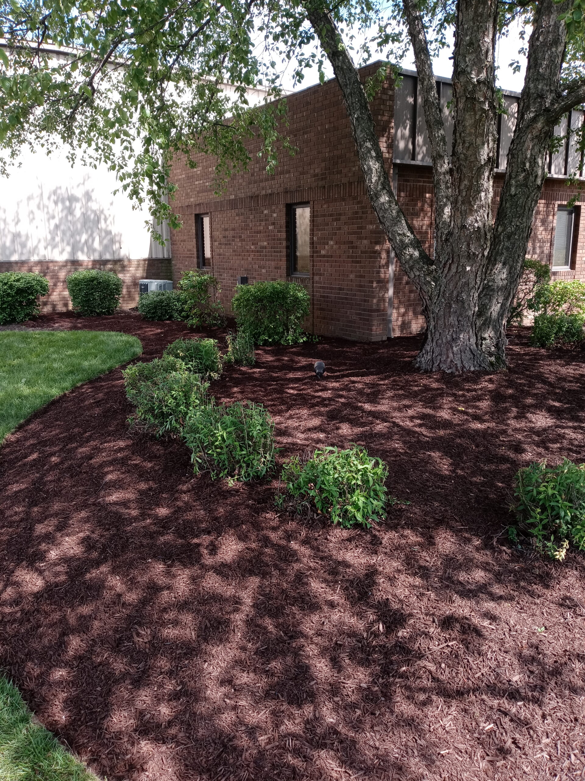 Landscaping Services, Greater Fort Wayne Area